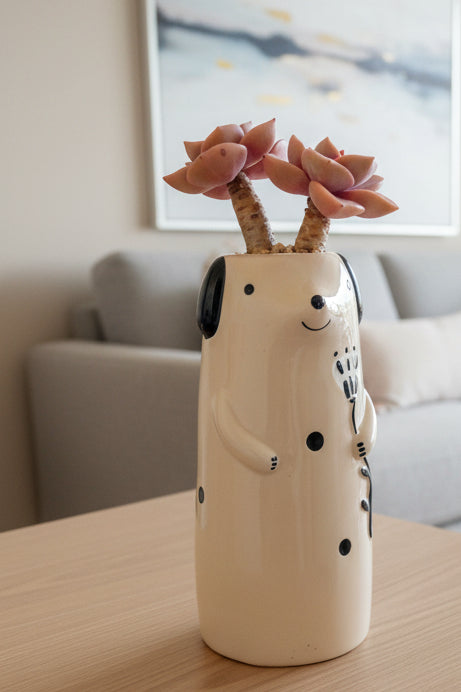 Succulent Dog Bud Vase – Graptopetalum 'Purple Delight