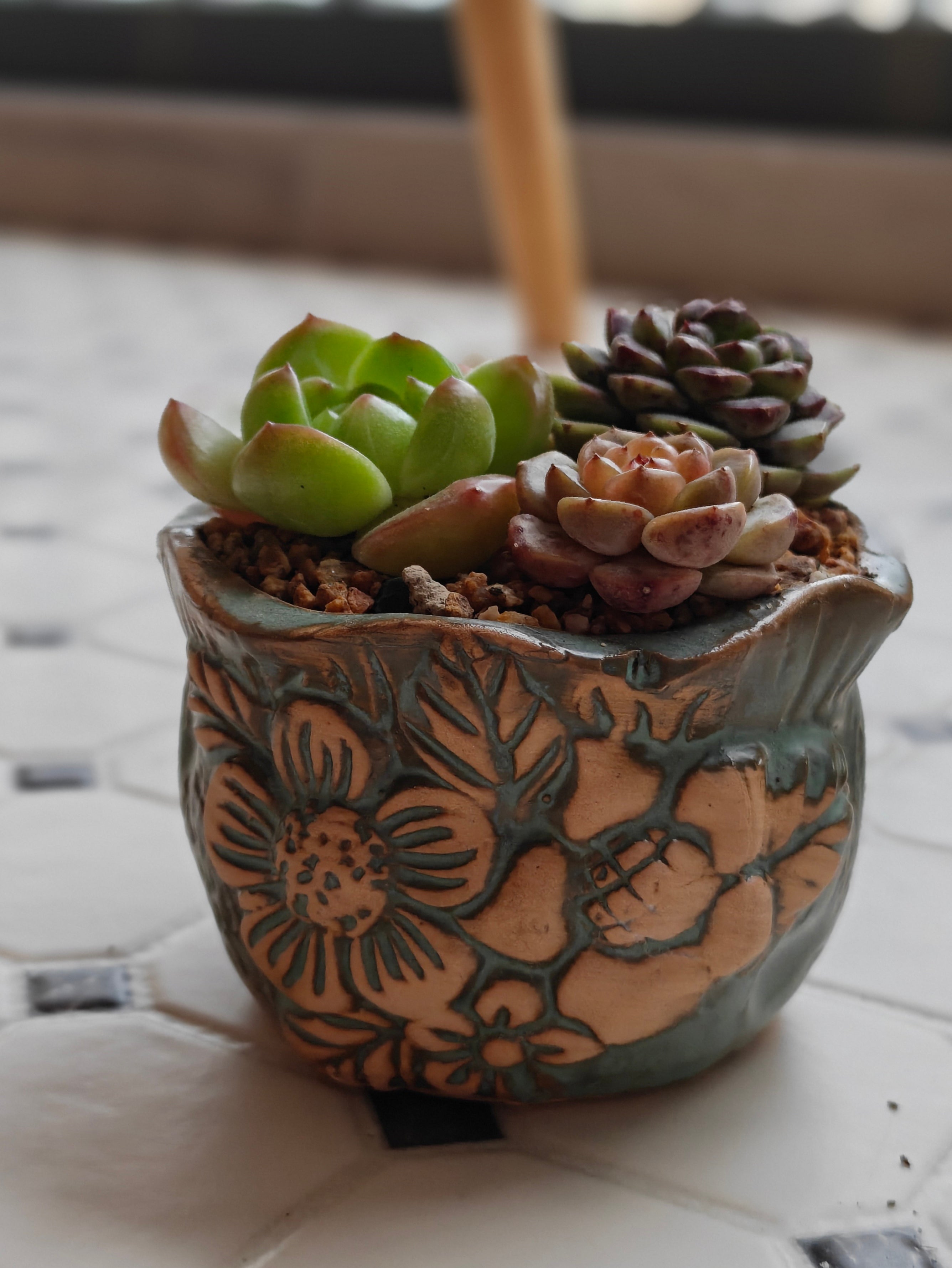 Vintage Teal Succulent Planter – Assorted Succulents
