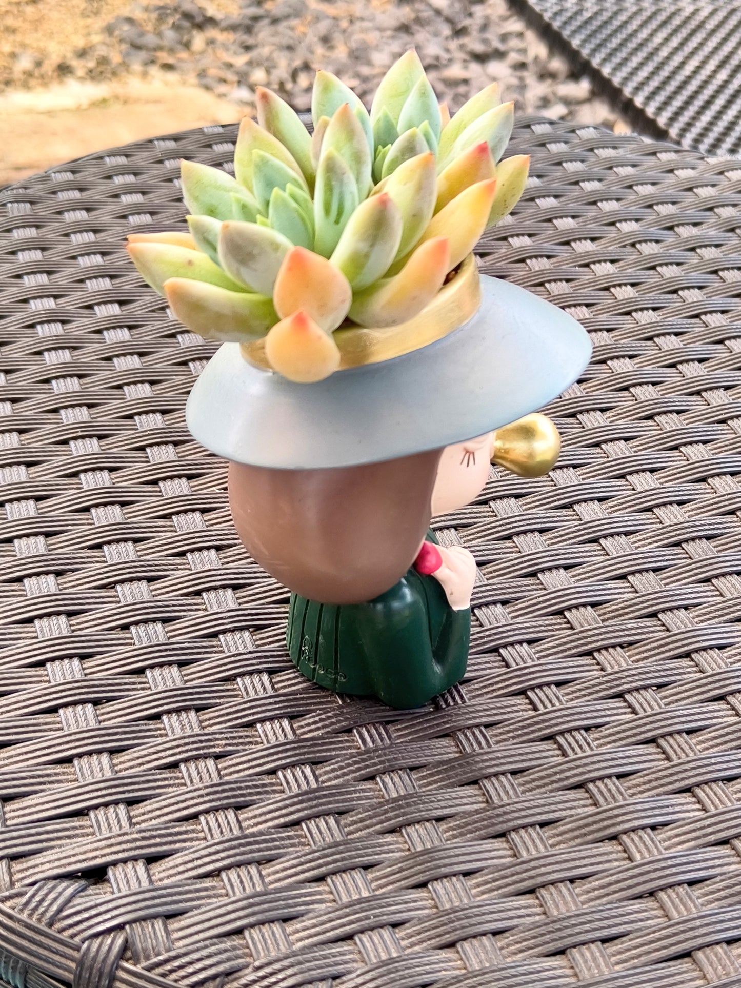 Succulent Girl Planter – Blowing Love with Pachyphytum 'Sky Beauty'