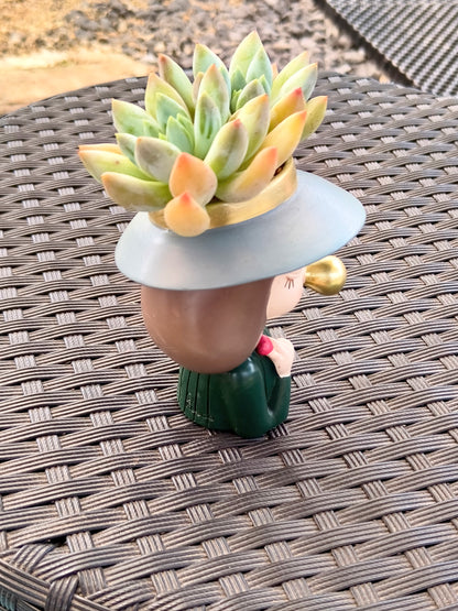 Succulent Girl Planter – Blowing Love with Pachyphytum 'Sky Beauty'
