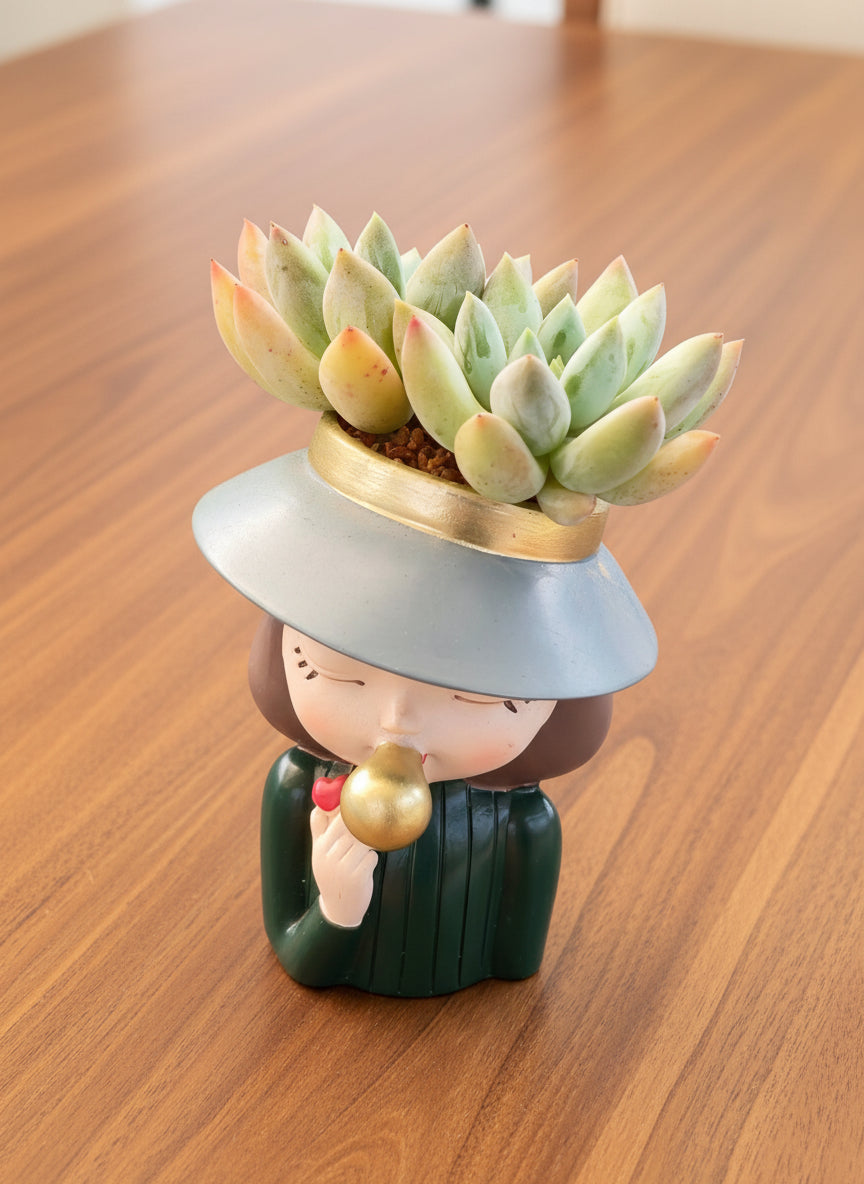 Succulent Girl Planter – Blowing Love with Pachyphytum 'Sky Beauty' - SlowBloomGreens