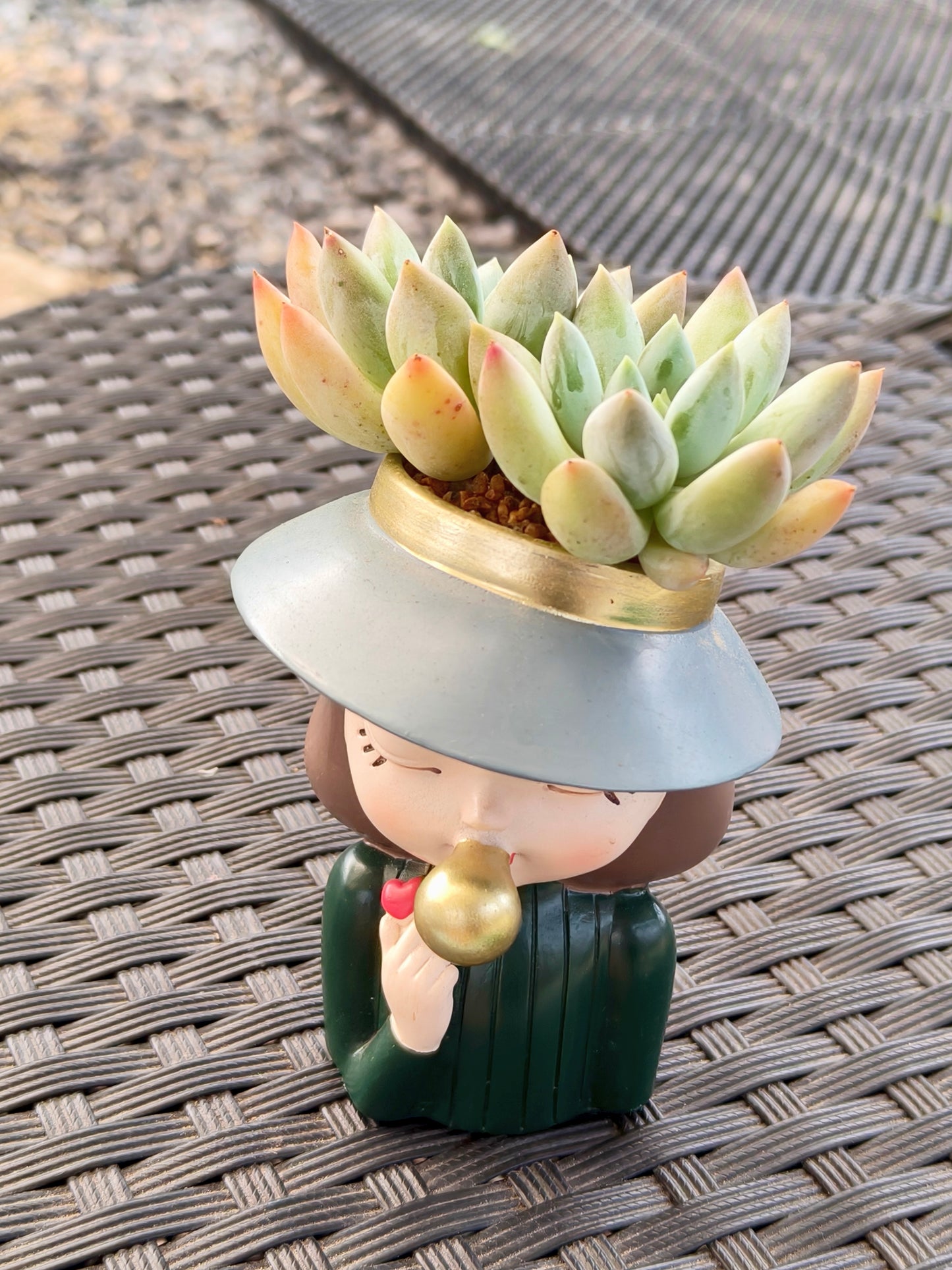 Succulent Girl Planter – Blowing Love with Pachyphytum 'Sky Beauty'