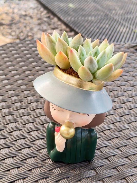 Succulent Girl Planter – Blowing Love with Pachyphytum 'Sky Beauty'