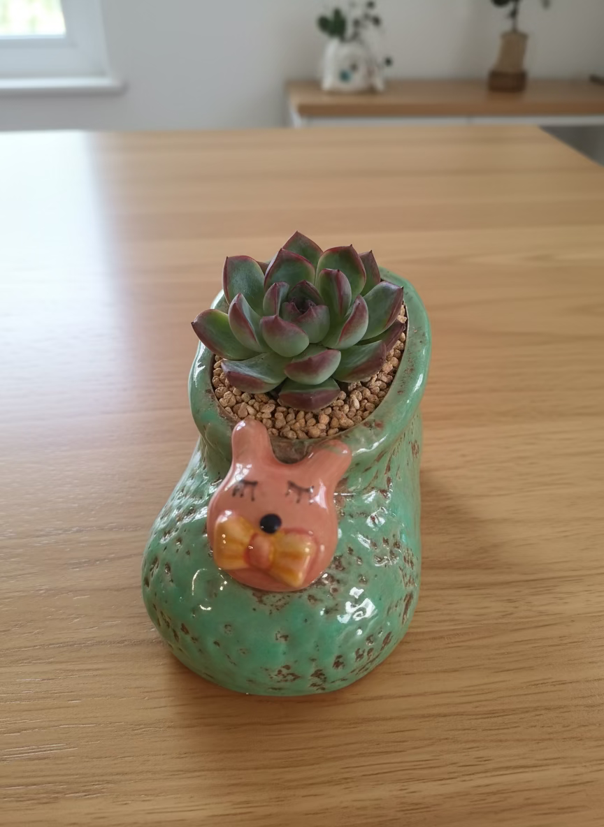 Succulent Mary Jane Charm Green Planter – Echeveria Suryeon
