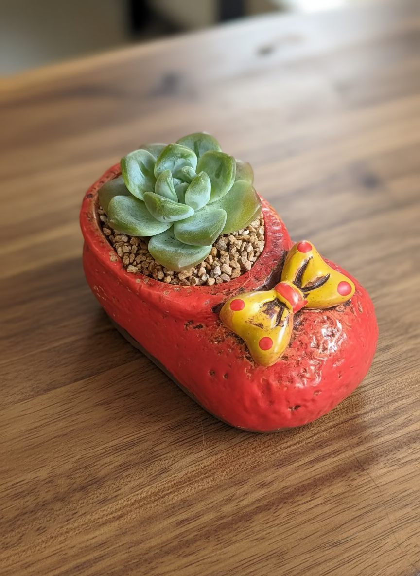 Succulent Mary Jane Charm Red Planter – Echeveria Ice Green