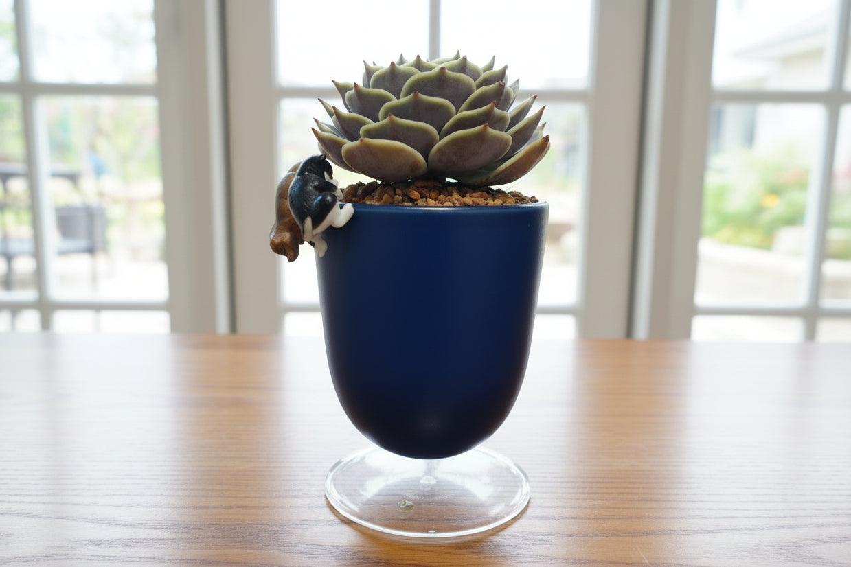 Succulent Glass Oasis Planter – Echeveria ‘Lola’ - SlowBloomGreens