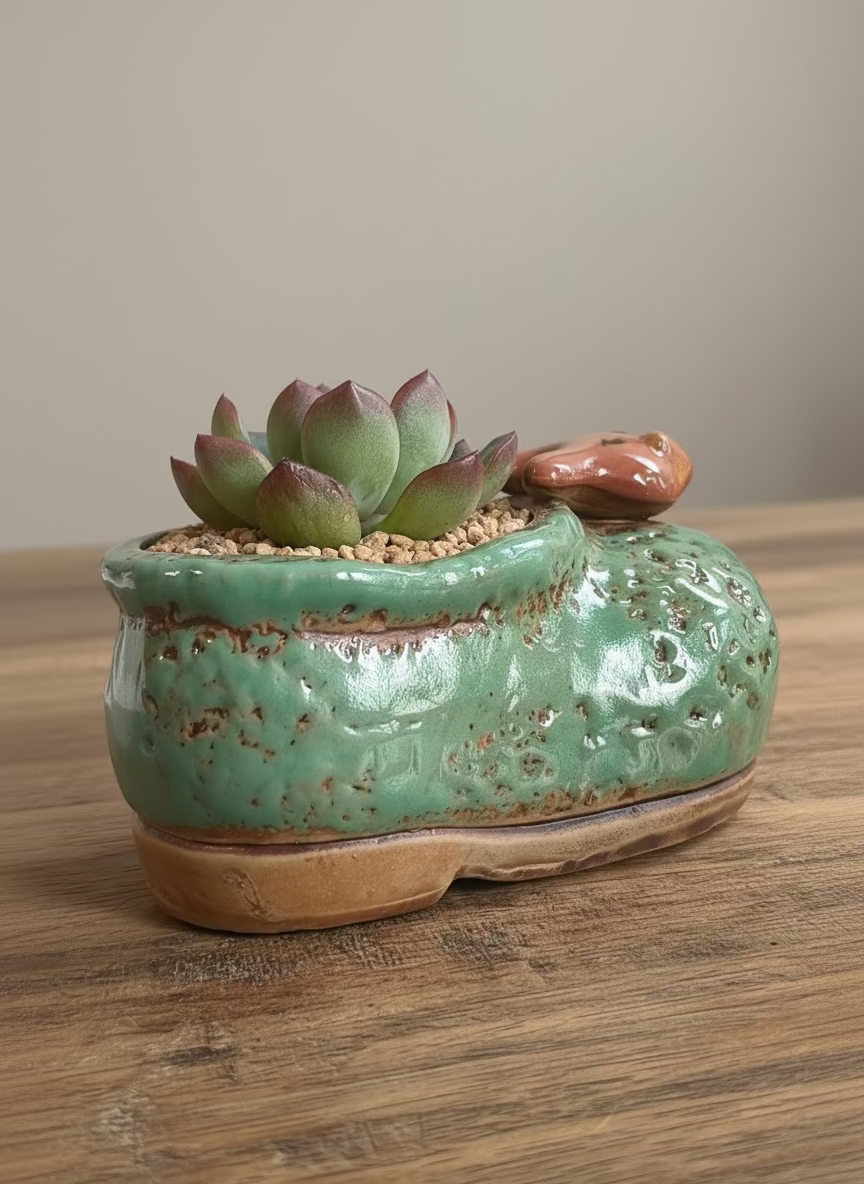 Succulent Mary Jane Charm Green Planter – Echeveria Suryeon