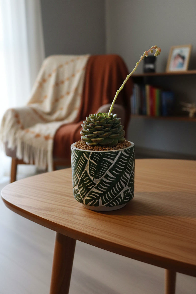 Succulent Whispering Leaves Planter – Echeveria 'Red Velvet'