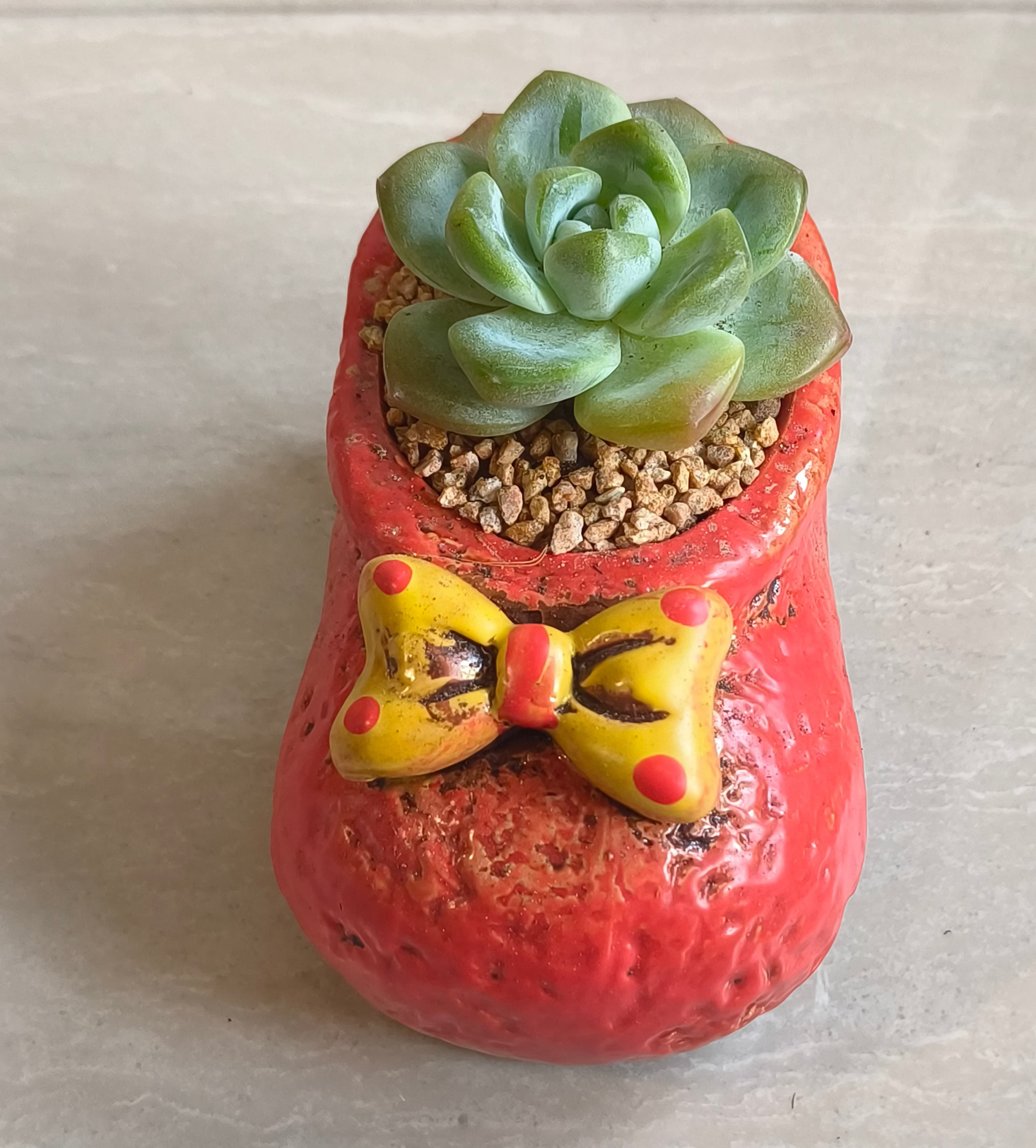 Succulent Mary Jane Charm Red Planter – Echeveria Ice Green - SlowBloomGreens