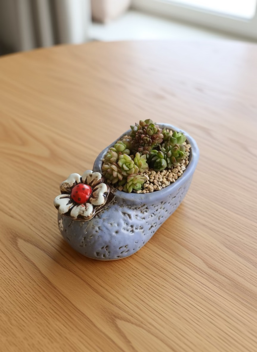 Succulent Mary Jane Charm Violet Planter - Cremnosedum 'Little Gem' - SlowBloomGreens
