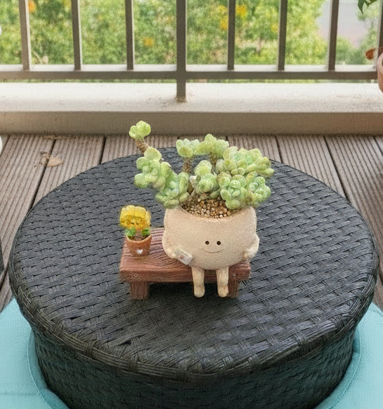 Succulent Happy Buddy Planter – Tiscalatengo Gorge Sedum - SlowBloomGreens