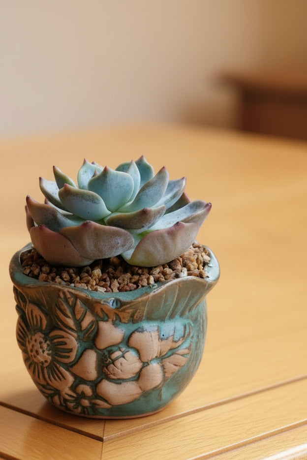 Vintage Teal Succulent Planter – Echeveria 'Bluebird'