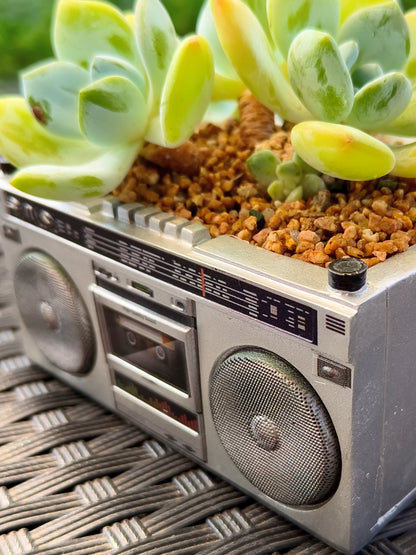 Succulent Retro Boombox – Echeveria Hybrid