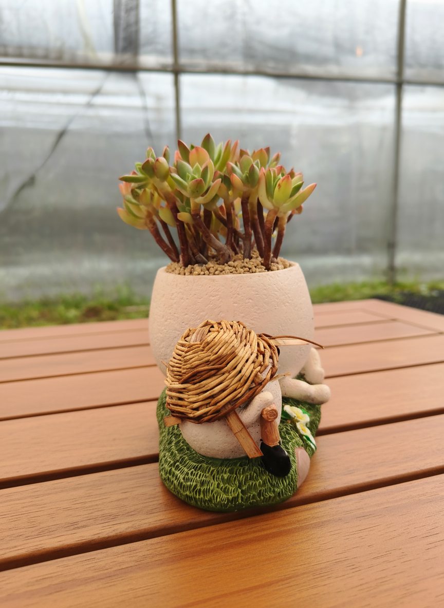 Succulent Buddies Planter - Echeveria 'Minibelle' - SlowBloomGreens